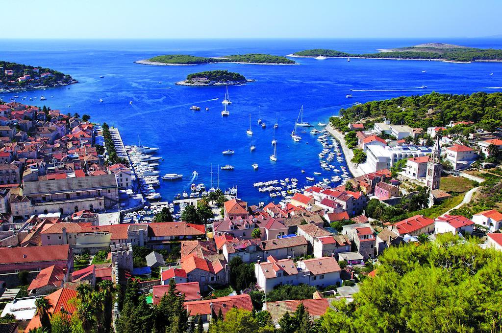 Delfin Hvar