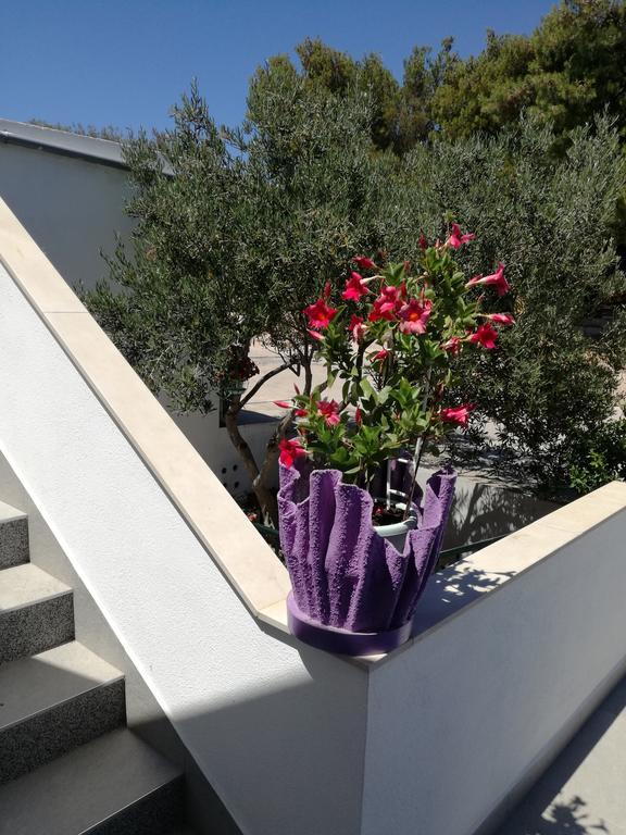 Marina Apartman