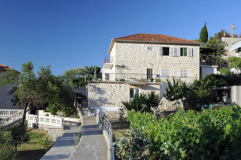 Olive Tree * Hvar Town