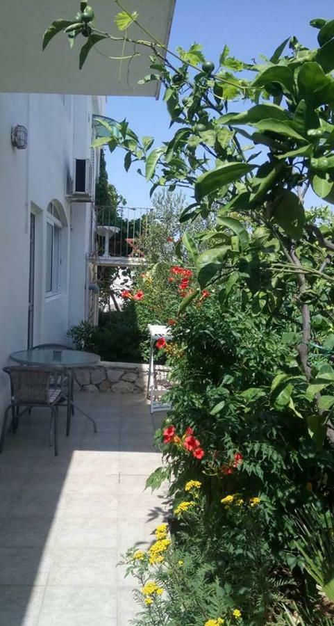 Apartman Milka *